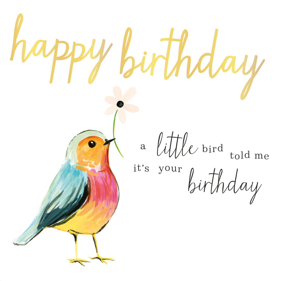 Happy birthday, A little bird